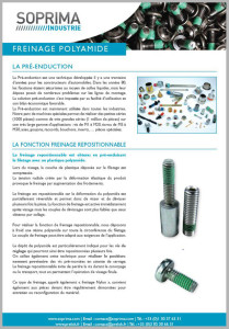 Doc-freinage-polyamide